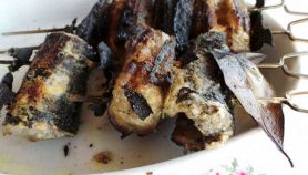 Spiedini di anguilla