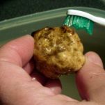 Tagliolini al tartufo bianco