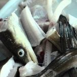 Risotto con l&#8217;anguilla