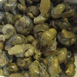 Conchiglie con lumachine di mare