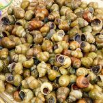 Zuppa di cozze e lumache di mare