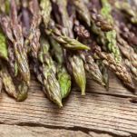 Wild asparagus