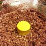 Amaretti della nonna