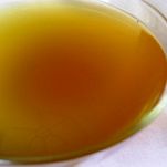 Bollito in salsa di porri