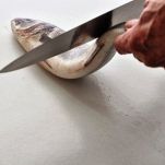 Branzino con fiori di zucca