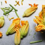 fiori di zucca
