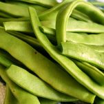 Branzino con fiori di zucca