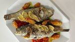 Branzino e fiori di zucca