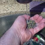 Bruschetta al peperone e pomodoro