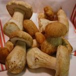 Cappelle di funghi grigliate