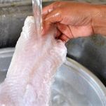 Filetti di merluzzo impanati