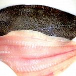 Filetti di platessa al limone