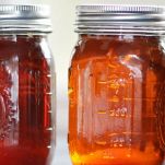 Liquore alle fragole di bosco