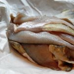 Pesce persico in salsa