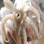 Seppie ripiene con salsa al pomodoro