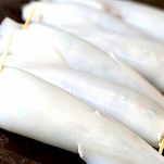 Seppie ripiene con salsa al pomodoro