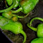 Spaghetti ai friggitelli