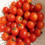 Spaghetti ai friggitelli