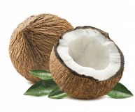 Davanti una metà di noce di cocco, con polpa bianca e scorza marrone; dietro una drupa intera e foglie della palma. Il tutto su uno sfondo bianco latte