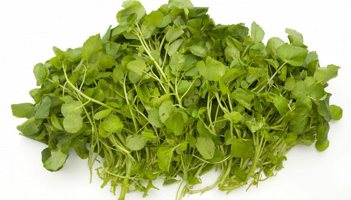 Crescione, caratteristiche e ricette