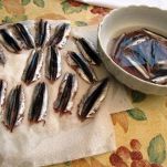 Acciughe crude agli agrumi