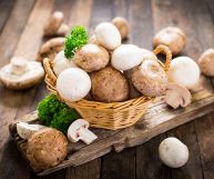 funghi champignon bianchi e bruni