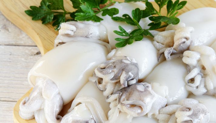 Seppie, caratteristiche e ricette