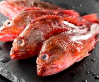 Su un piano in ardesia, quattro scorfani freschi, pronti per essere cucinati; presentano una pelle rosso brillante, con sfumature bianco-rosate