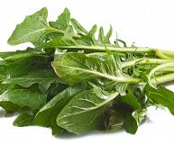 Un mazzo di catalogna su sfondo bianco: le foglie sono carnose, frastagliate e di un bel verde, compatte tra loro, segno di freschezza dell’ortaggio