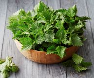 Ciuffi di ortiche giovani appena raccolte, adagiate in una ciotola di legno posata su un piano rustico; le foglie sono tese, di un verde brillante