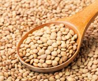 Un letto di lenticchie secche su cui è adagiato un cucchiaio in legno pieno di semi bombati tendenti al nocciola chiaro, messo a fuoco