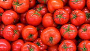 Pomodoro, proprietà e ricette