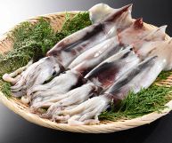 Calamari puliti dalle impurità e adagiati su un piatto da portata dalla forma rotonda tra rametti di aneto fresco; lo sfondo digrada dal nero, al grigio e al bianco