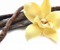 Vaniglia: fiore di colore giallo paglierino e quattro baccelli di colorazione brunastra e con una superficie attraversata da lunghe striature rugose