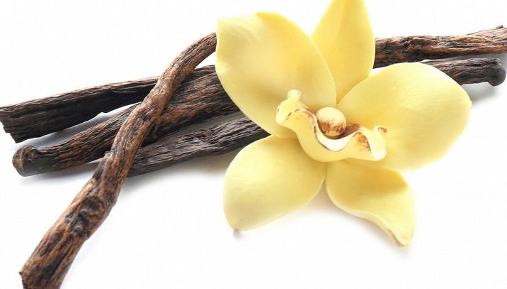 Vaniglia: fiore di colore giallo paglierino e quattro baccelli di colorazione brunastra e con una superficie attraversata da lunghe striature rugose