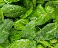 Vista panoramica di foglie di spinaci appena raccolti e lavati, con ancora delle gocce d'acqua. Il colore è verde intenso, ora più scuro ora più chiaro