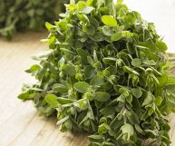 Su un piano in legno, legata con della rafia, maggiorana appena raccolta con foglioline verdi brillante; sullo sfondo, sfocato, un secondo mazzetto