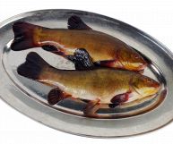 In un vassoio dalla forma ovale su fondo bianco, due tinche pronte per essere cucinate. Le carni sono sode e le branchie tendenti al rosso