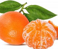 Un mandarino sbucciato con una leggera peluria bianca sulla destra, uno con buccia arancione brillante e foglie verdi sulla sinistra; lo sfondo è bianco
