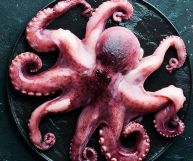 Un polpo cotto adagiato su un piano scuro. Presenta una grande testa e otto tentacoli con due file di ventose; il colore varia dal viola al rosa chiaro
