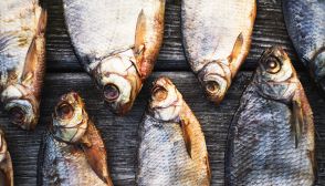 Pesci d'acqua dolce, le specie principali