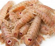 In primo piano un mucchietto di canocchie o cicale di mare con guscio rosato; dietro uno sfondo bianco