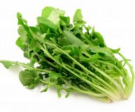 In primo piano, su sfondo bianco, spicca il verde intenso di una testa di cicoria dalle foglie frastagliate, pronta per essere utilizzata in cucina