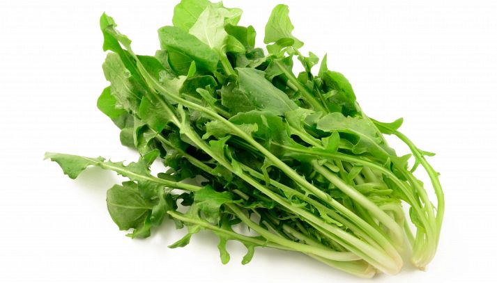 In primo piano, su sfondo bianco, spicca il verde intenso di una testa di cicoria dalle foglie frastagliate, pronta per essere utilizzata in cucina