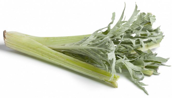 Cardo, caratteristiche e ricette