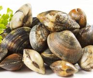 Vongole
