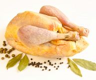 In centro, in primo piano, una faraona intera con cosce carnose e pelle giallo vivo, sotto alloro e pepe nero in grani. Lo sfondo è di colore bianco.