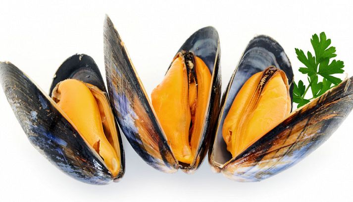 Tre cozze in posizione verticale su sfondo bianco; i gusci, neri e lucenti, sono aperti; i molluschi contenuti all’interno sono sodi, consistenti e di un bell’arancione