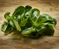 Due rosette di songino costituite da foglie dalla forma ovoidale e dalla consistenza carnosa, di un verde acceso. Tavolo in legno chiaro sullo sfondo