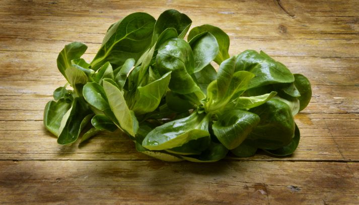 Due rosette di songino costituite da foglie dalla forma ovoidale e dalla consistenza carnosa, di un verde acceso. Tavolo in legno chiaro sullo sfondo